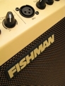 Fishman Loudbox Mini amp