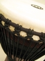 Djembe